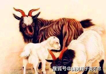 神马行空普天瑞仙羊下界遍地春猜生肖详细解答、解释与落实、构建解答解释落实