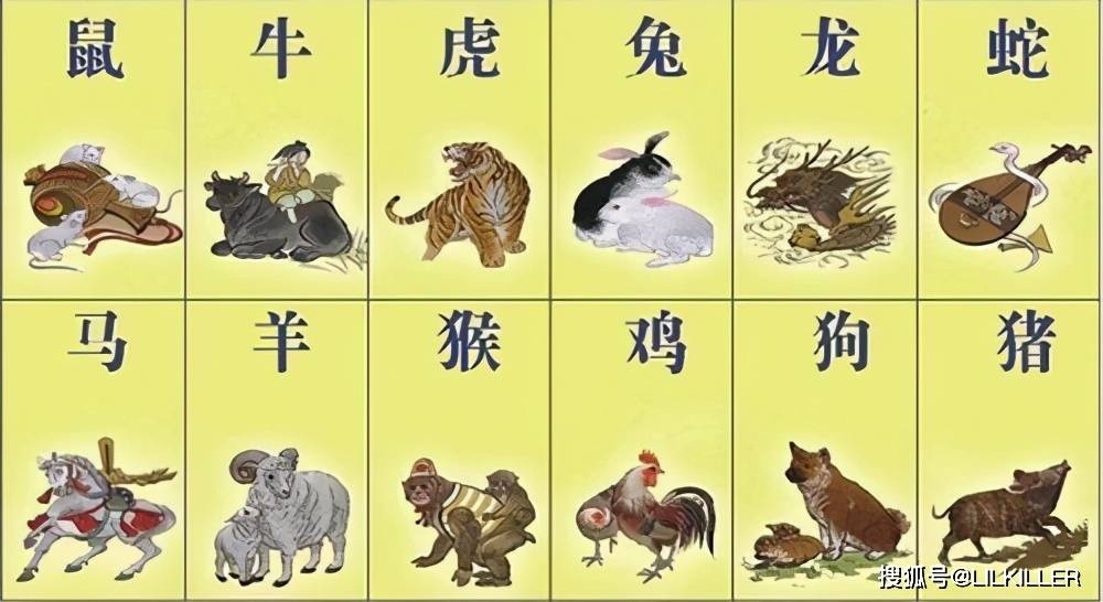 龙蛇鸡兔猴鼠羊,农家都有的动物打一生肖详细解答、解释与落实、全面解答解释落实