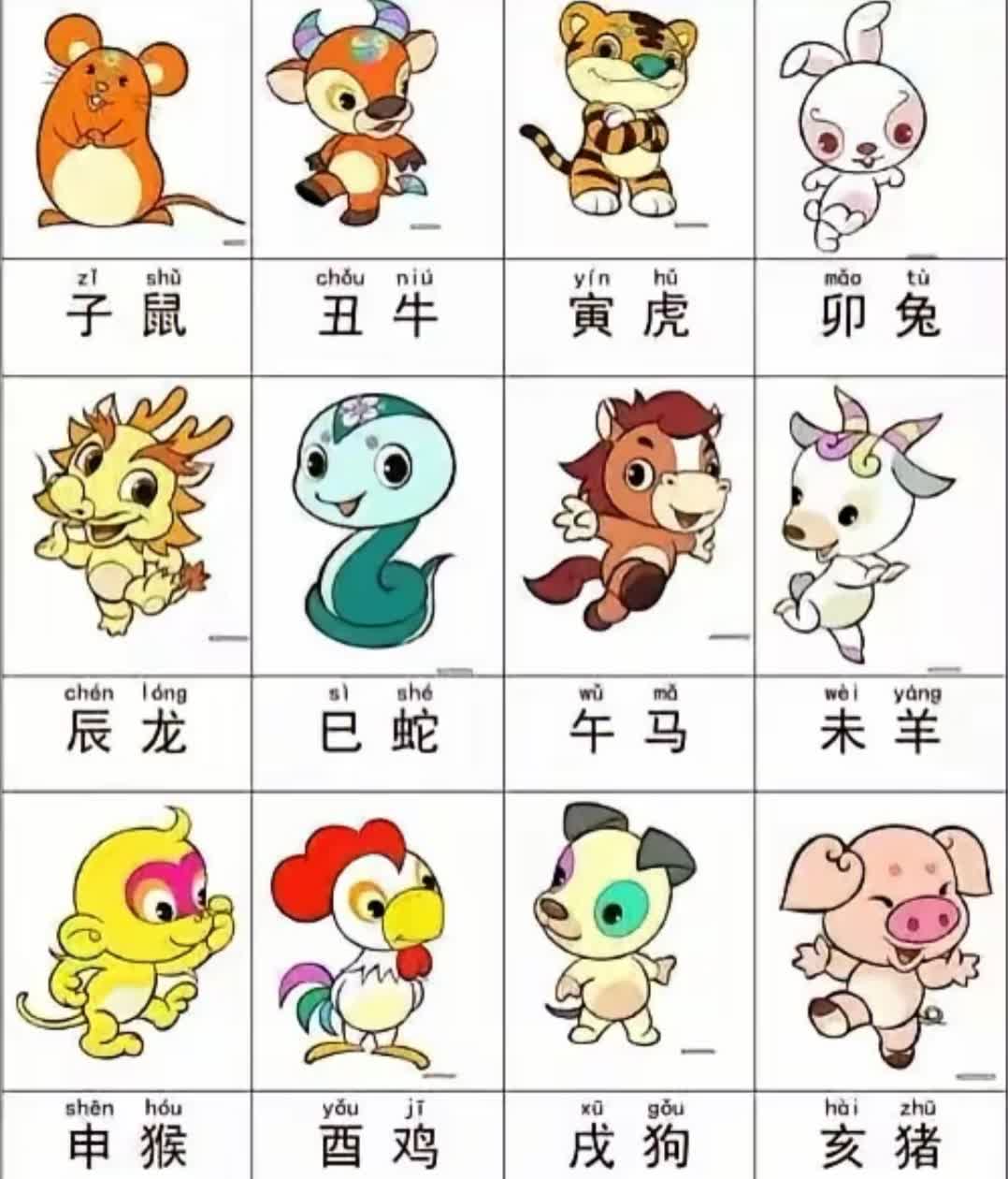龙蛇鸡兔猴鼠羊,农家都有的动物打一生肖详细解答、解释与落实、全面解答解释落实