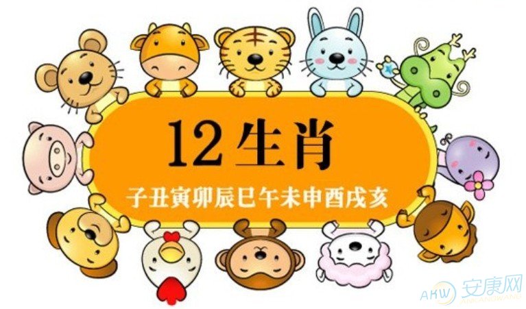 局求目的一味靠抢欺凌弱小来逞强打一生肖详细解答、解释与落实、统计解答解释落实