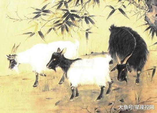 神马行空普天瑞仙羊下界遍地春猜生肖详细解答、解释与落实、构建解答解释落实